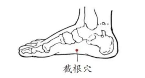 截根穴位置|截根穴:截根穴經外奇穴，又名截癌穴。【定位】位於足內側，舟。